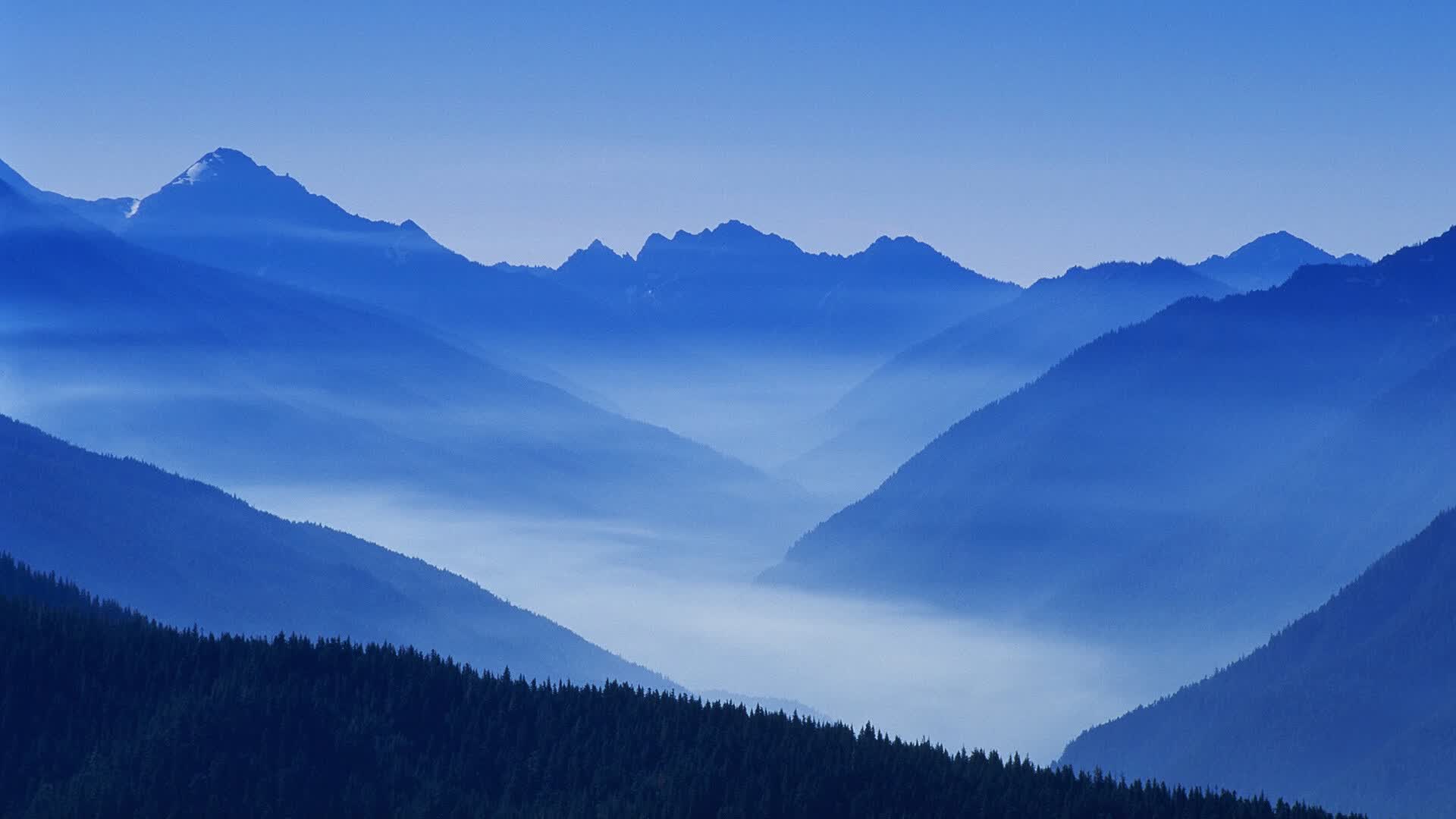 世界杯志愿者荣誉体系:证书与长期激励政策,2021世俱杯志愿者招募