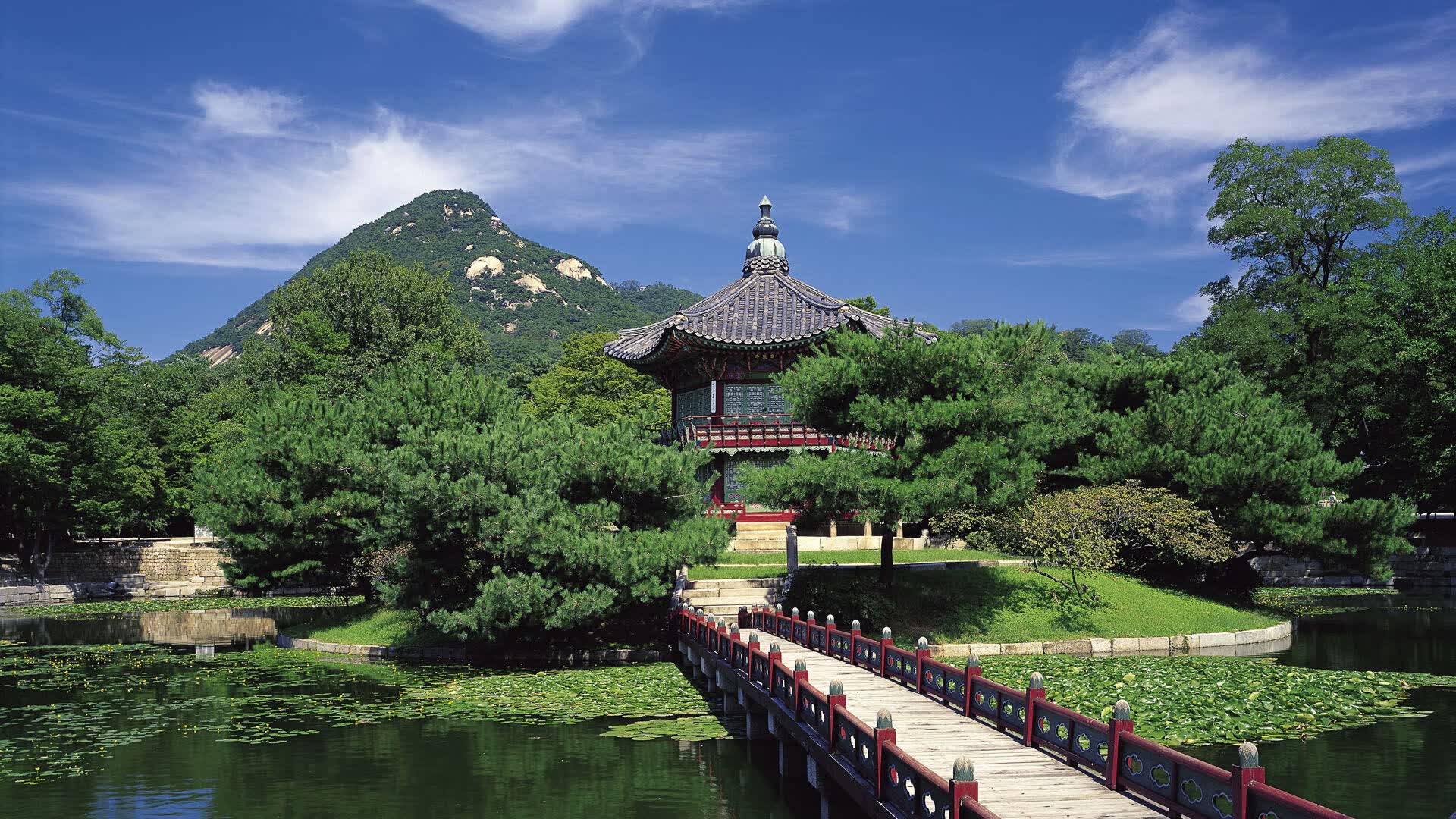 世界登山青年导师国际交流营第24批回访成果汇编上线，国际登山技术手册pdf